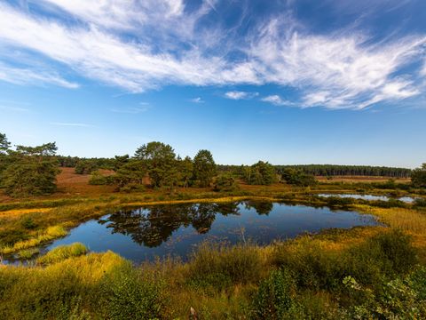 EuroParcs Hoge Kempen - Belgisch Limburg - Afbeelding N°7