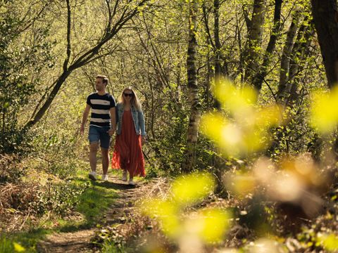 EuroParcs Hoge Kempen - Belgisch Limburg - Afbeelding N°8