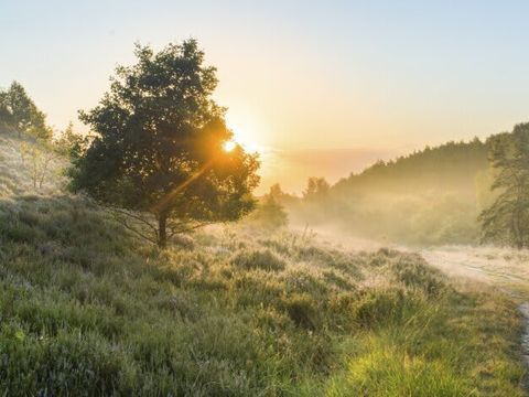 EuroParcs Hoge Kempen - Belgisch Limburg - Afbeelding N°11