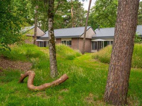 Landal  Park De Peel - Deurne - Afbeelding N°36