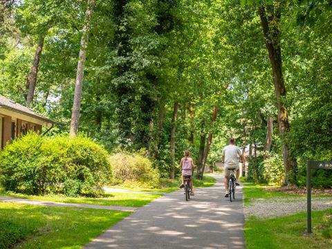 Landal  Park De Peel - Deurne - Afbeelding N°29