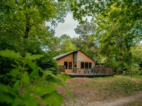 EuroParcs Ruinen - De Wolden - Afbeelding N°31