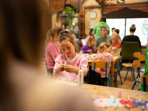 TopParken Resort Veluwe - Barneveld - Afbeelding N°46