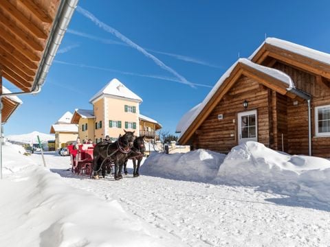 Landal Katschberg - Karinthië