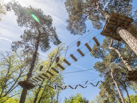 Landal PUUR Exloo - Borger-Odoorn