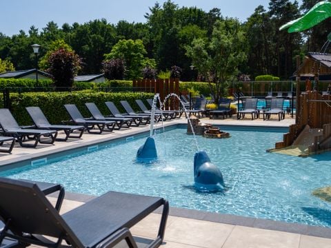 Vakantiepark Molenvelden - Camping Veldhoven - Afbeelding N°5