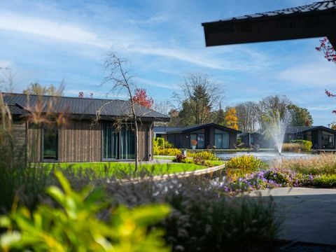Vakantiepark Molenvelden - Camping Veldhoven - Afbeelding N°2