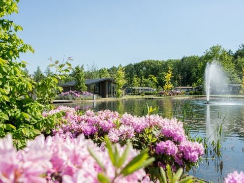 Vakantiepark Molenvelden - Camping Veldhoven - Afbeelding N°0