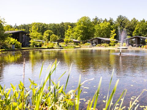 Vakantiepark Molenvelden - Veldhoven - Afbeelding N°16