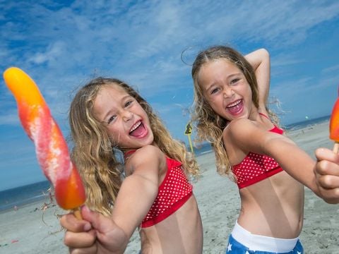 Landal Camping De Zandput - Veere - Afbeelding N°3