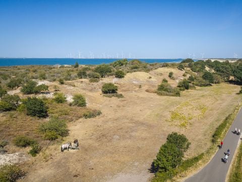 Landal Camping De Zandput - Veere - Afbeelding N°3