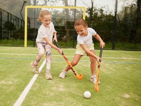 Brinckerduyn - Ooststellingwerf - Afbeelding N°3