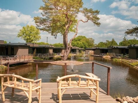 Soof Heuvelrug - Camping Rhenen - Afbeelding N°0