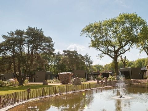 Soof Heuvelrug - Camping Rhenen - Afbeelding N°4
