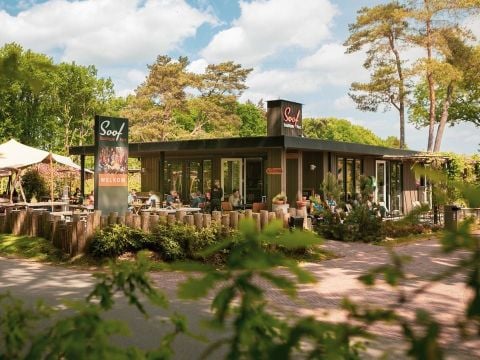 Soof Heuvelrug - Camping Rhenen - Afbeelding N°2