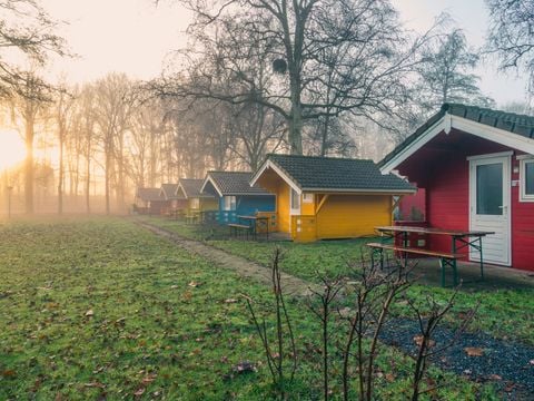 EuroParcs Het Amsterdamse Bos - Camping Amsterdam - Afbeelding N°3