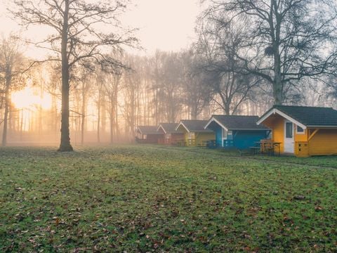 EuroParcs Het Amsterdamse Bos - Camping Amsterdam - Afbeelding N°5