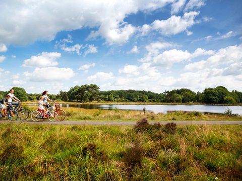Landgoed 't Wildryck - Westerveld - Afbeelding N°15