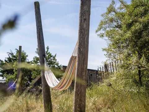 Landal Bloemendaal aan Zee - Bloemendaal - Afbeelding N°4
