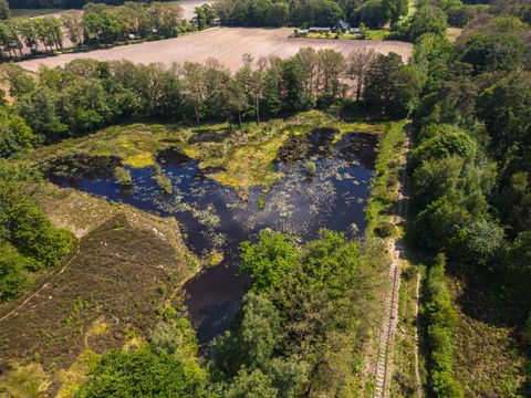 Hofparken Wiltershaar - Winterswijk - Afbeelding N°41