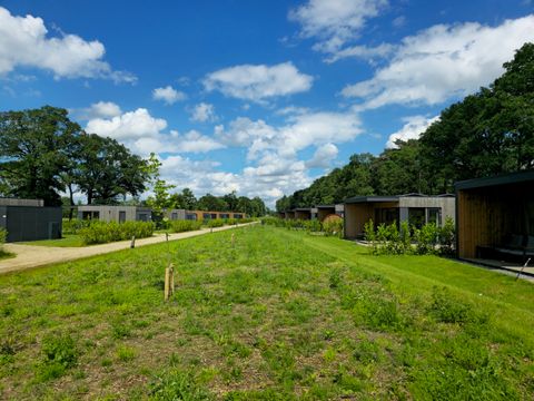 Hofparken Wiltershaar - Winterswijk - Afbeelding N°38