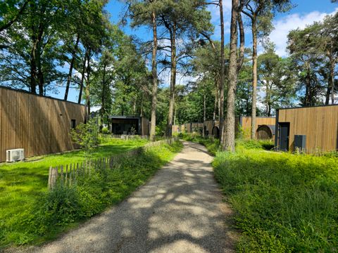 Hofparken Wiltershaar - Winterswijk - Afbeelding N°34