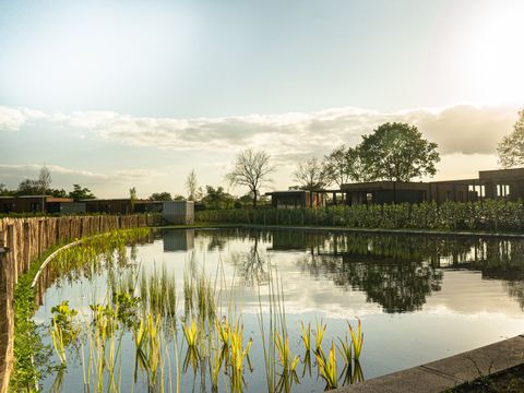 Hofparken Wiltershaar - Winterswijk - Afbeelding N°36