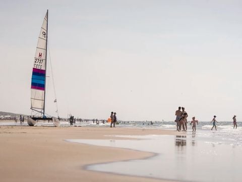 Landal Zandvoort - Zandvoort - Afbeelding N°3