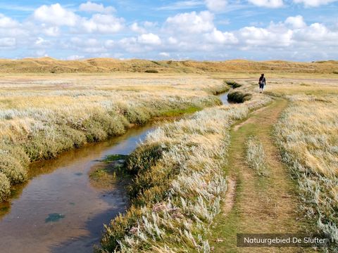 Villapark de Koog - Texel - Afbeelding N°16