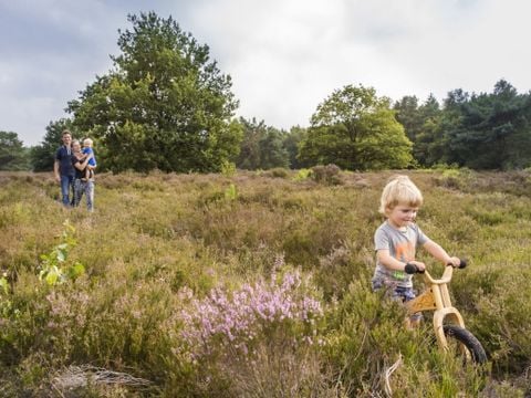 Landal Drentse Lagune - Camping Midden-Drenthe - Afbeelding N°2