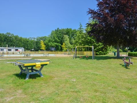 Park Drentheland - Camping Westerveld - Afbeelding N°5
