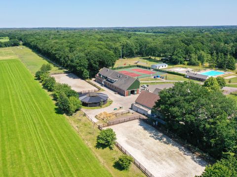 Park Drentheland - Westerveld - Afbeelding N°7