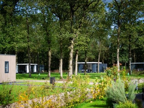 Park Drentheland - Westerveld - Afbeelding N°2