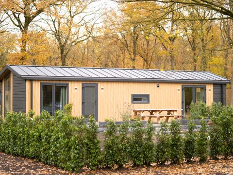 Park Drentheland - Westerveld - Afbeelding N°11
