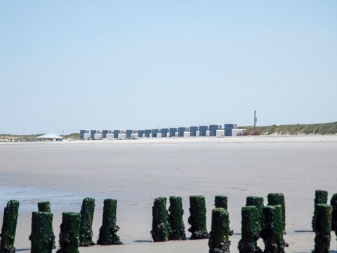 Camping Zonneweelde - Sluis - Afbeelding N°35