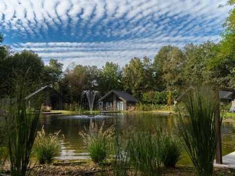 Vakantiepark Latour - Camping Oirschot - Afbeelding N°0