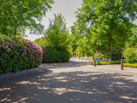 Vakantiepark Latour - Oirschot - Afbeelding N°12