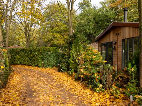 Bungalowpark Het Verscholen Dorp - Harderwijk - Afbeelding N°19