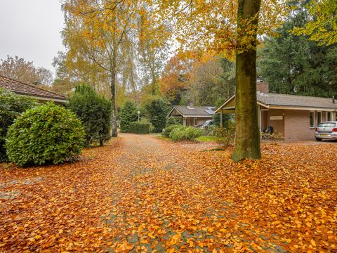 Bungalowpark Het Verscholen Dorp - Harderwijk - Afbeelding N°16