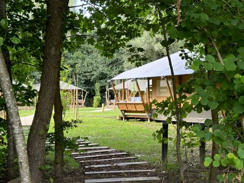 Urban Gardens Gent - Oost-Vlaanderen - Afbeelding N°11