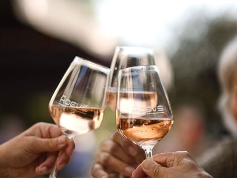 Mooi Twente lodges - Hof van Twente