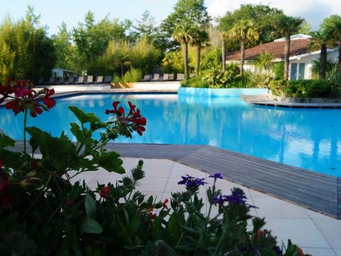 Kampaoh Mézos - Camping Landes