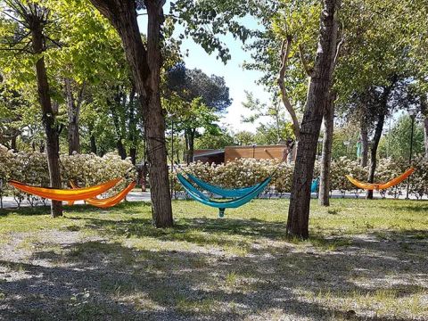 Camping Taimi - Camping Massa-Carrara - Afbeelding N°4