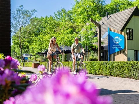 TopParken Résidence Lage Vuursche - Camping Baarn - Afbeelding N°3