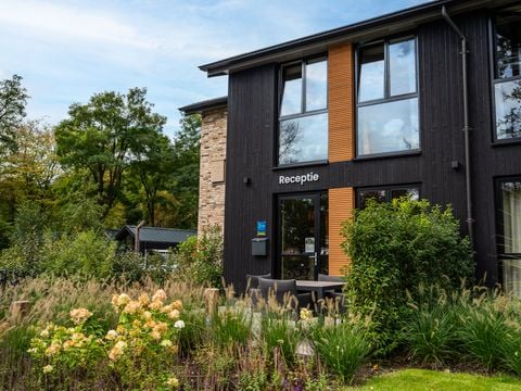 TopParken Résidence Lage Vuursche - Camping Baarn - Afbeelding N°5