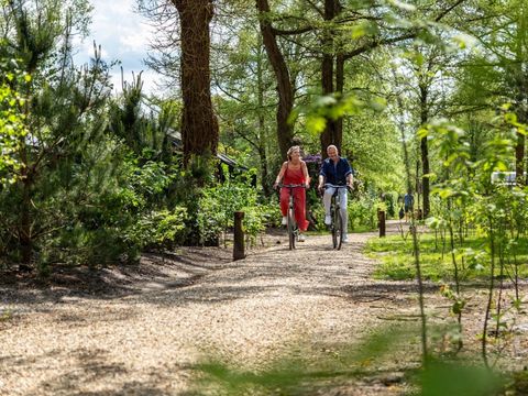 TopParken Résidence Lage Vuursche - Baarn