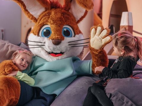 Landal Ferienresort Cochem - Rijnland-Palts - Afbeelding N°3