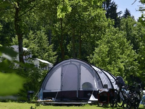 EuroParcs Biggesee - Camping Noordrijn-Westfalen - Afbeelding N°4