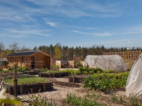 Center Parcs Les Landes de Gascogne - Lot-et-Garonne