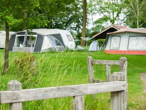 Recreatiepark Den Blanken - Camping Berkelland - Afbeelding N°2